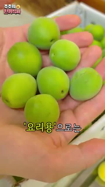 추추의 한끼식사