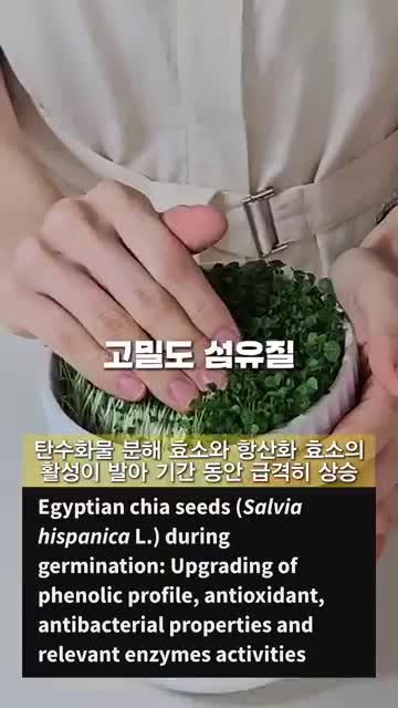 조이키토