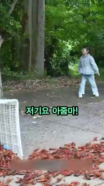 거꾸로 오르는 계단