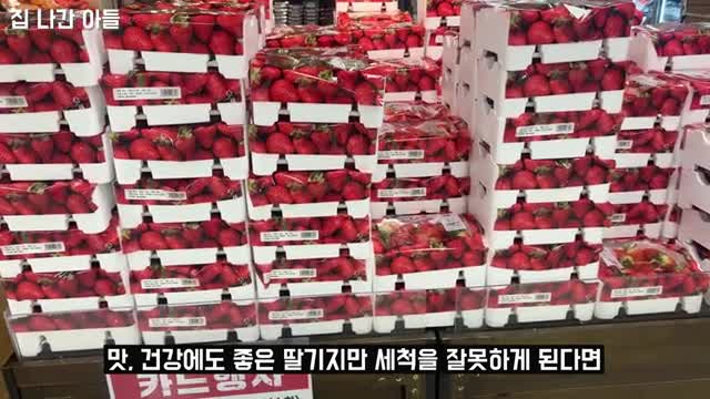 딸기 세척의 중요성과 잘못된 세척법
