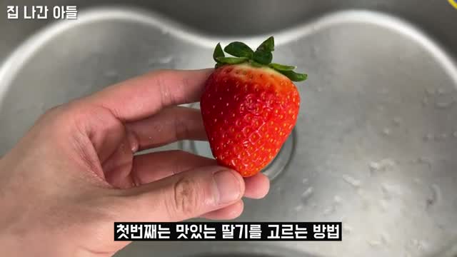 딸기 고르는 꿀팁