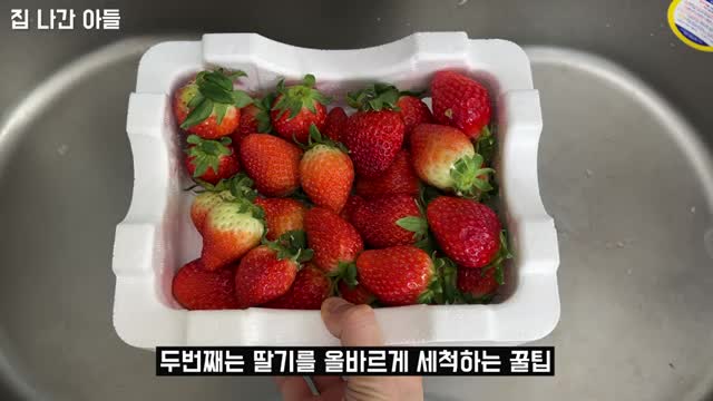 딸기 세척하기 전에 알아야 할 사항