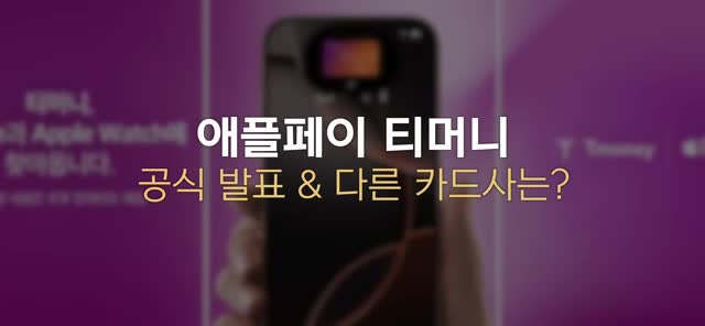 애플페이 티머니 런칭 역사