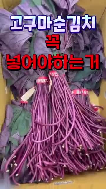 미르스가든미르의정원tv