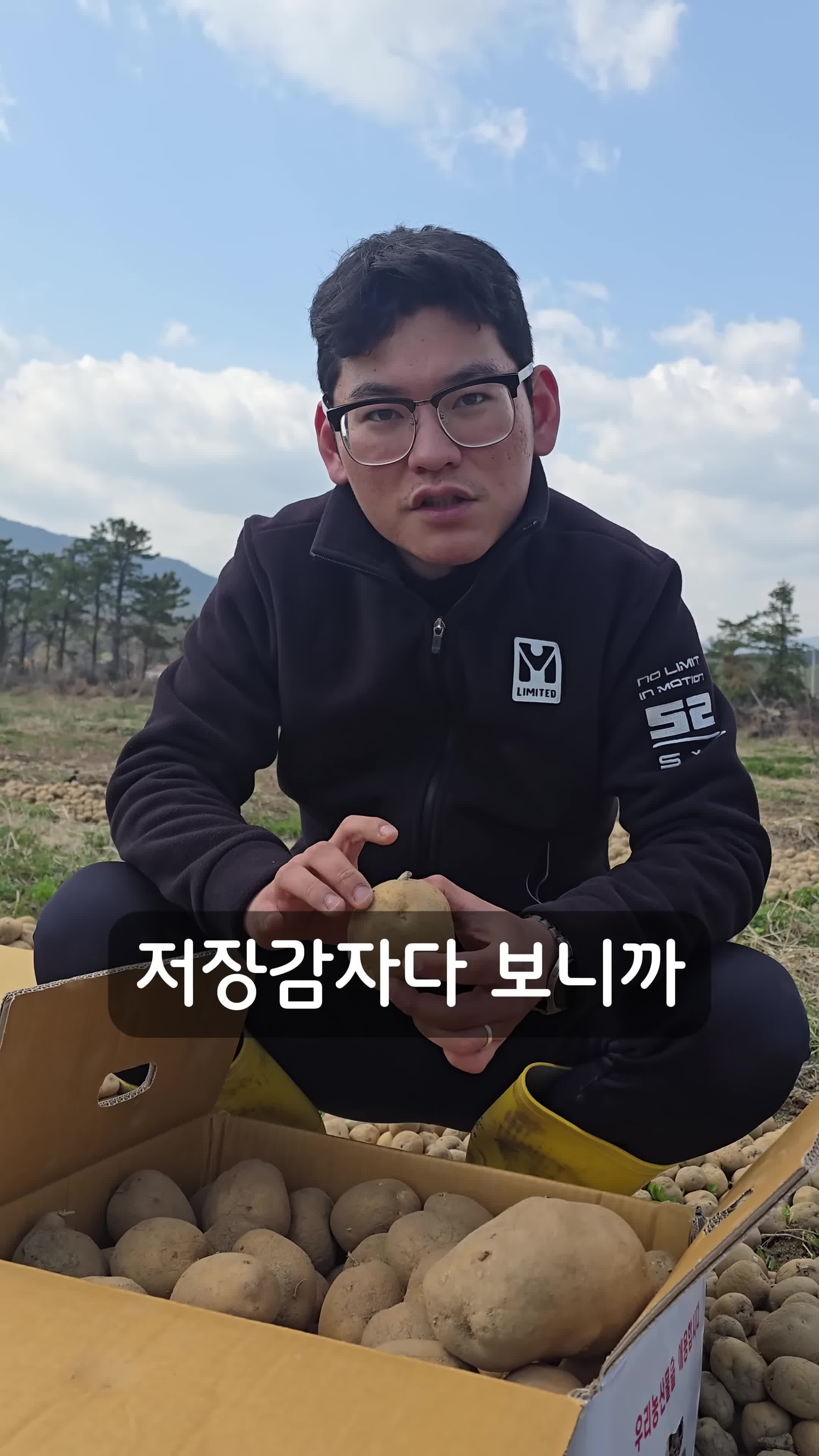 intro-저장감자의 이해와 보관 필요성