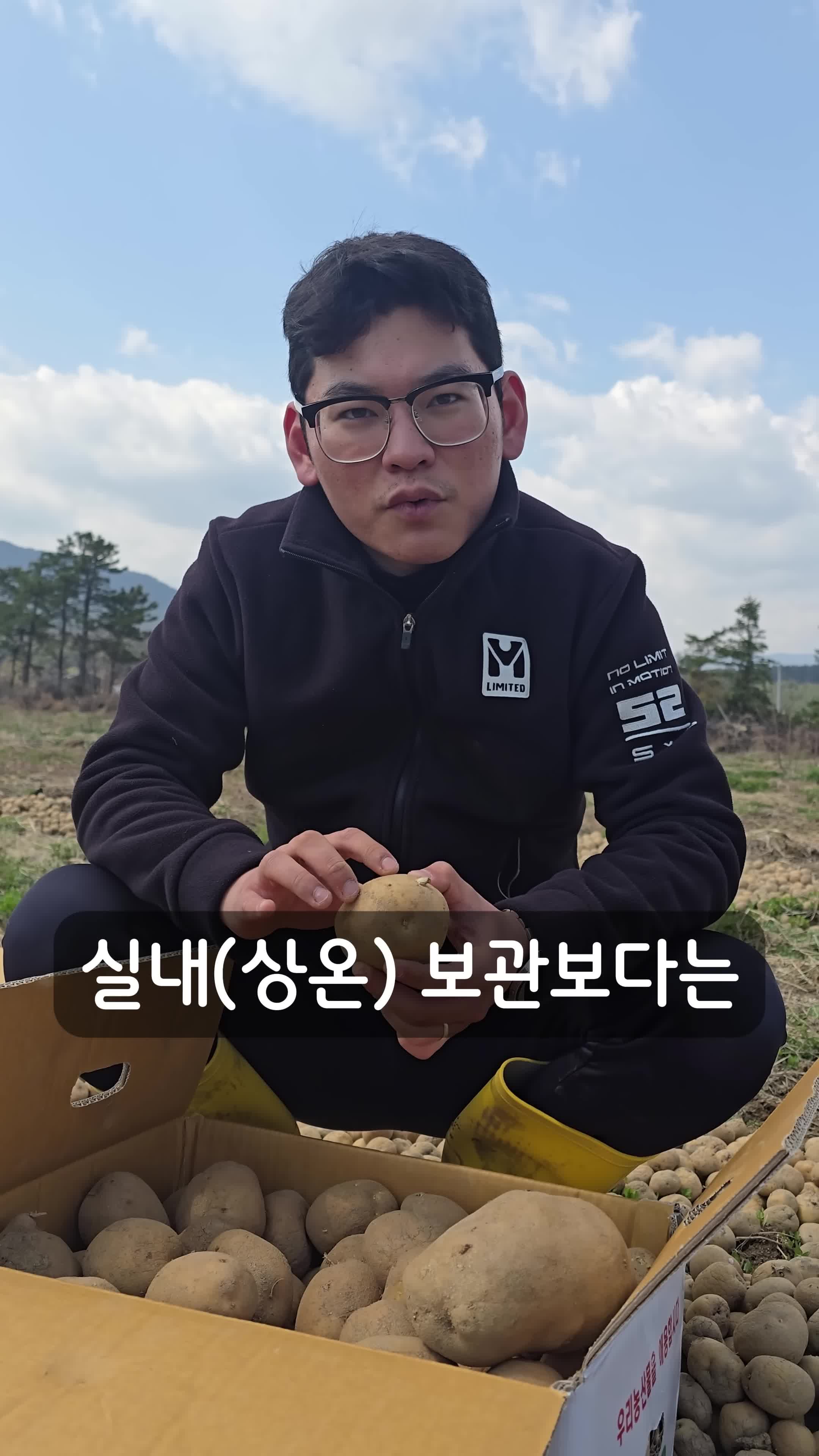 냉장고에서의 저장감자 보관법