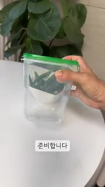 고추 수명 늘리기 위한 보관 팁