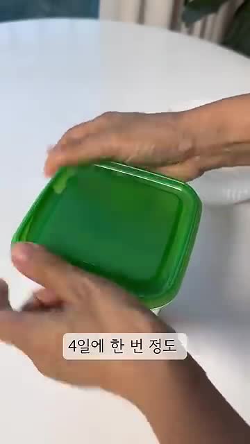 보관 후 관리 및 유지 방법