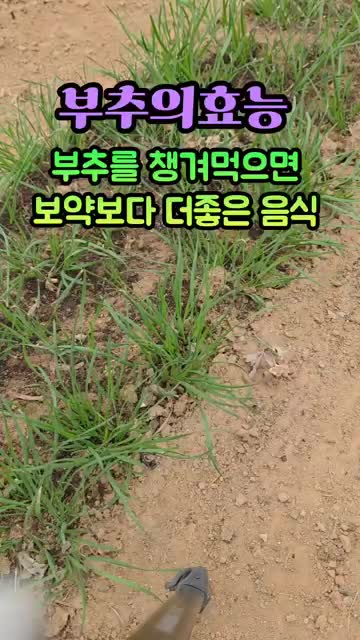 단지네그린하우스(Greenhouse)