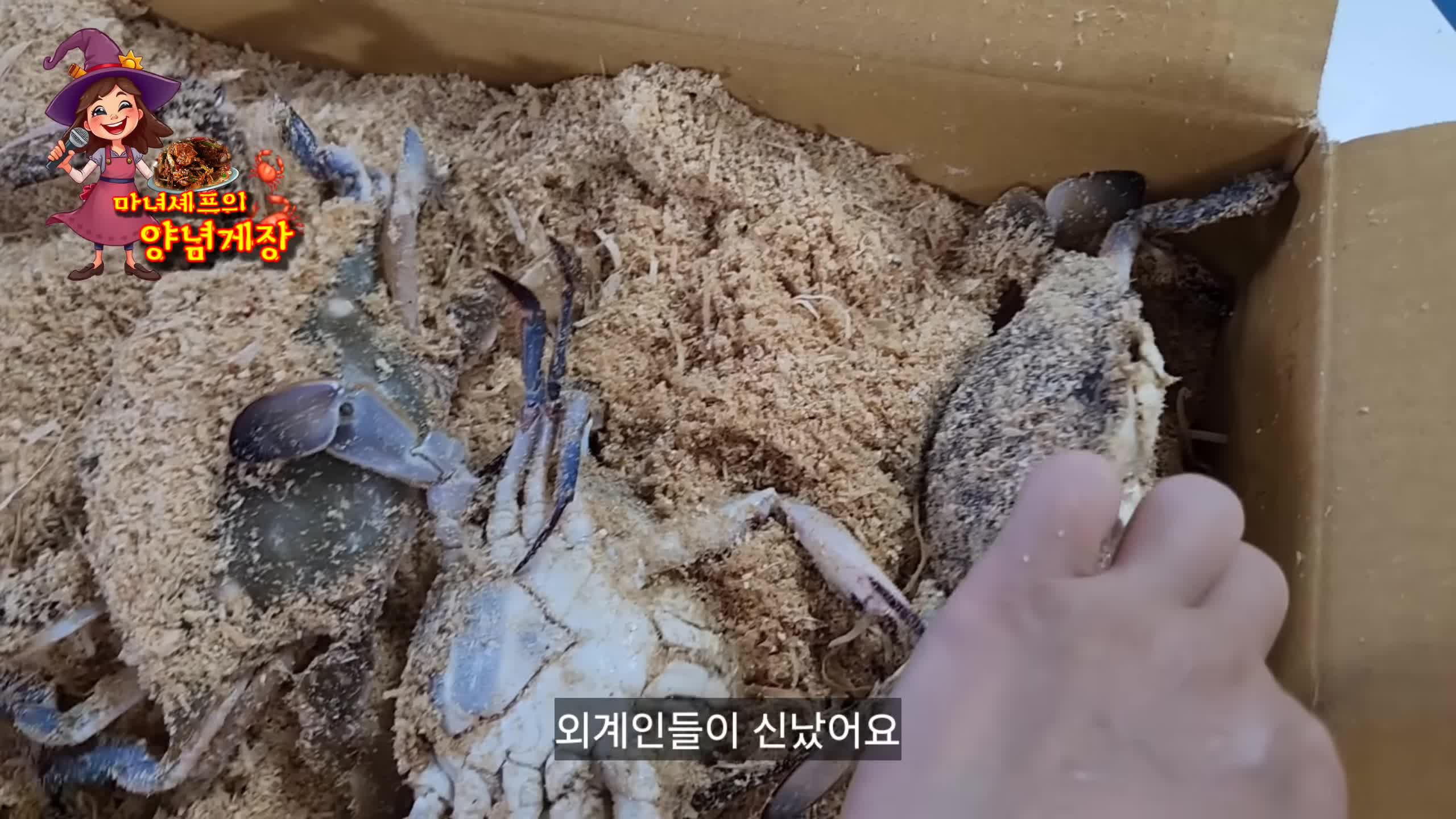 신선한 꽃게 준비하기