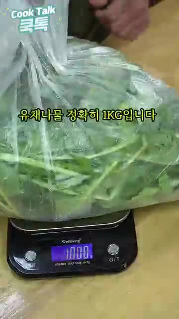 쿡톡 (빛 & 소금)