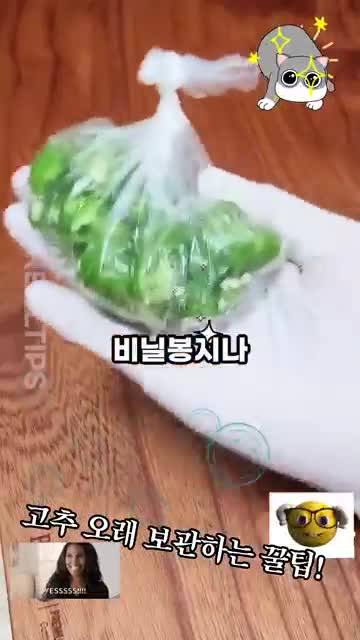 청양 고추 냉동 보관 방법