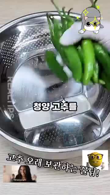 청양 고추 냉장 보관 방법