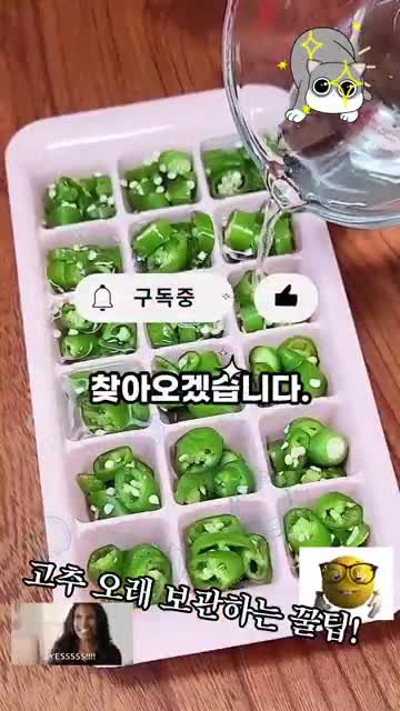유의사항과 꿀팁 정리