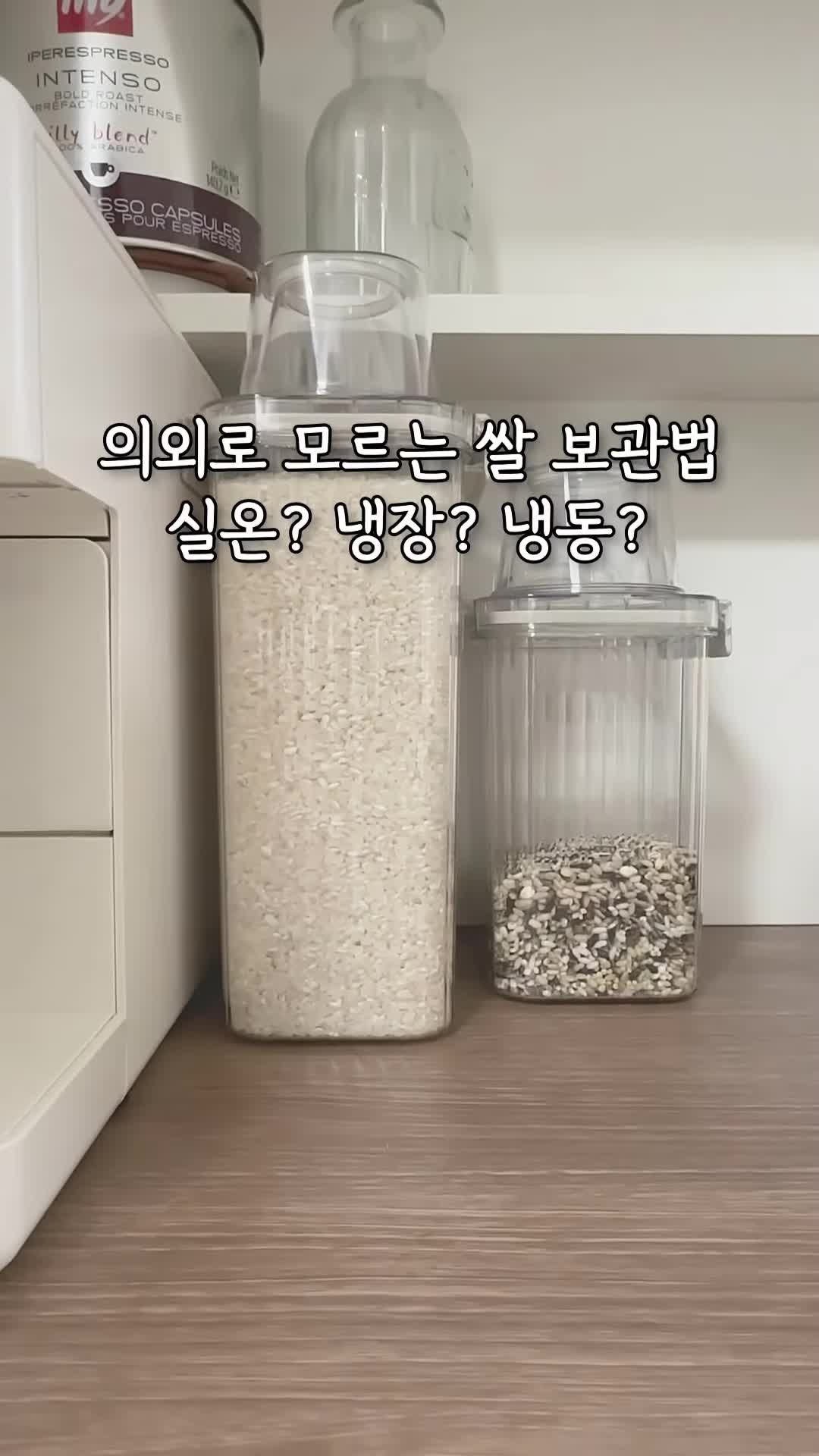 쌀 보관 방법 완벽 가이드 - 실온 냉장 냉동의 장단점