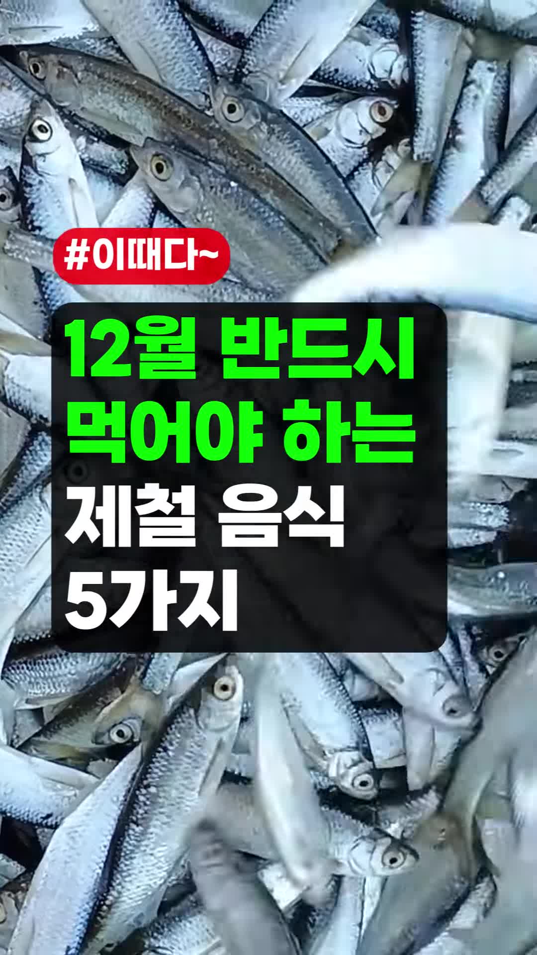 intro-12월에 꼭 먹어야 하는 음식 소개