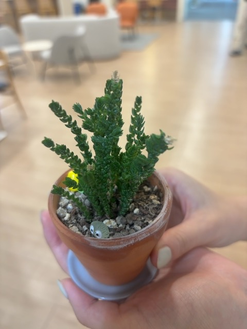 Captured plant