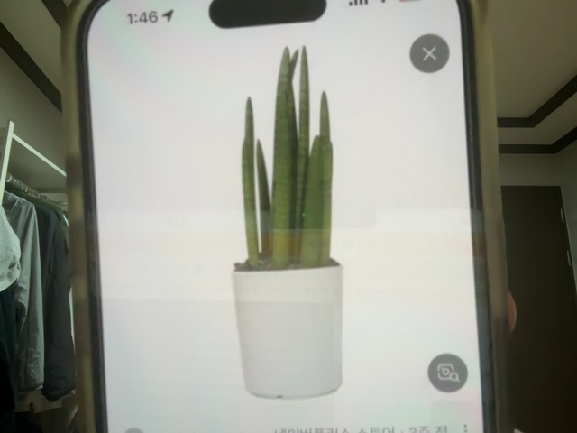 Captured plant